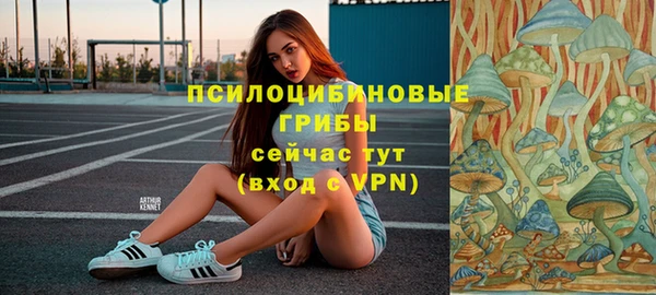 бошки Балахна