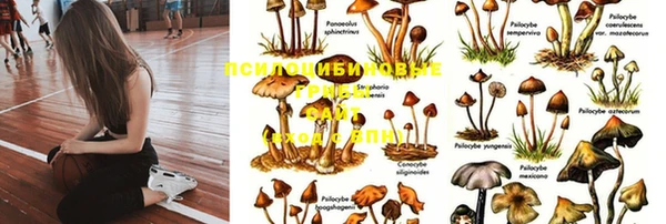 бошки Балахна
