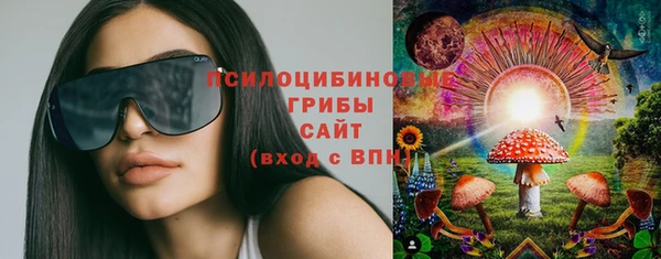 молекула духа Баксан